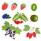 A set of vector illustrations on the subject of berries