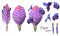 Set of vector illustrations of tillandsia cyanea anita isolated on white background. Collection of hand drawn flowers and