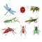 Set of vector insects