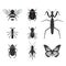 Set of vector insects volume 4