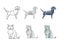 Set of vector japanese origami cat and dog