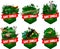 Set of vector jungle rainforest emblem with red kangaroo, Lyrebird, Echidna, saltwater crocodile, golden pheasant, pangolin