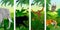 Set of vector Jungle rainforest vertical baners with elephant, orangutan, Griffon vulture, tiger, parrot, butterflies and jaguar o