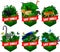 Set of vector jungles rainforest emblems with tiger, great hornbill, peacock peafowl, green toucanet, blue Morpho butterfly