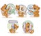 Set vector letters of the English alphabet with funny teddy bear