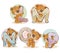 Set vector letters of the English alphabet with funny teddy bear