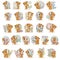 Set vector letters of the English alphabet with funny teddy bear