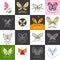 Set of vector logos butterflies