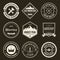 Set of vector logotypes elements, labels, badges and silhouettes