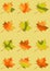 Set of vector maple leaves isolated, mosaic maple leaf in red, yellow, orange and green colors