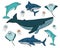 Set of vector outline cartoon ocean and sea happy animals. Whale, dolphin, shark, stingray of two types, jellyfish have eyes and