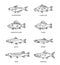 Set of vector outline fish icons. Vector flat collection