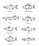 Set of vector outline fish icons. Vector flat collection