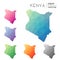 Set of vector polygonal Kenya maps.