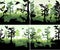 Set of vector rainforest wetland in sunset design template with animals