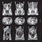 Set vector x-ray of human abdomen with pelvic bone
