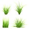 Set vector realictic grass