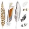 Set of vector realistic elegant feathers design