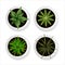 Set of vector realistic plants and cacti in white flowerpots fro