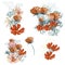 Set of vector realistic spring cosmos flowers for design