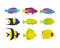 Set of vector reef fish