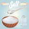 Set of vector salt shaker, full wooden bowl and spoon. Salt scattered on table