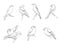 Set of vector silhouettes of birds