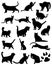 Set of vector silhouettes of cats. Collection of domestic cats. Cats. Black cat. Cat silhouette.