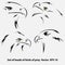 Set of Vector sketch of eagles heads profile in black isolated on gray background