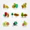 Set of vector tree illustration. Geometric, stylized, tree illustrations.