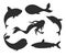 Set of vector underwater life silhouettes with mermaid, whales,