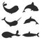 Set of vector underwater life silhouettes with whales, shark, na