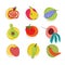 Set of vector vegetables and fruits icons. Diet vegetarian food.