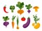 Set of vector vegetables, healthy food for vegans from the vegetable garden