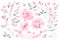 Set vector watercolor elements of roses, leaves. collection garden pink flowers, leaves, branches, plants, Botanic