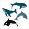Set of vector whales and dolphins. Vector illustration of marine mammals, such as blue whale, humpback whale, dolphin and killer