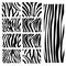 Set of Vector zebra texture