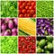 Set of vegetable backgrounds