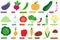 Set of vegetable icon. Collection of vegetables. Cartoon style