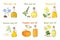 Set of vegetable oils in glass bottles of different shapes.