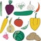 Set vegetables doodle outline color sketch.