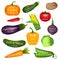 Set of vegetables labels with sample text. Collection of realist