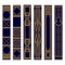 Set of Vertical spines of books ornament. Samples of roots of the book. Luxury gold and blue pattern