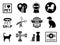 Set of veterinary concept icons