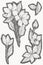 Set of vintage botanical illustration flower. Flower concept. Botanica concept. Vector design.