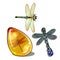 Set of vintage objects and jewelry on the theme of dragonflies isolated on a white background. Insect in amber. Vector