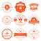 Set of vintage style elements for labels and badges for organic food
