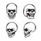 Set of vintage style skulls in four view plans. Vector illustration.