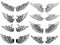 Set of vintage wings illustrations isolated on white background.