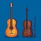 set of violin and guitar instruments style